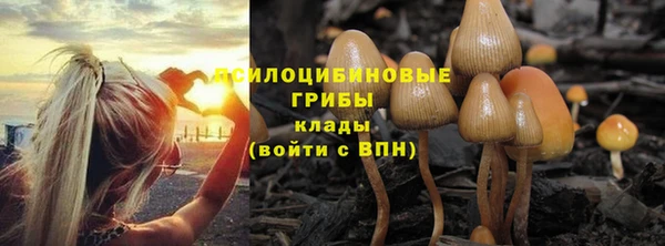 прущие крисы Верея