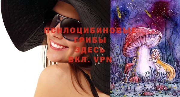 ГАЛЛЮЦИНОГЕННЫЕ ГРИБЫ Ступино