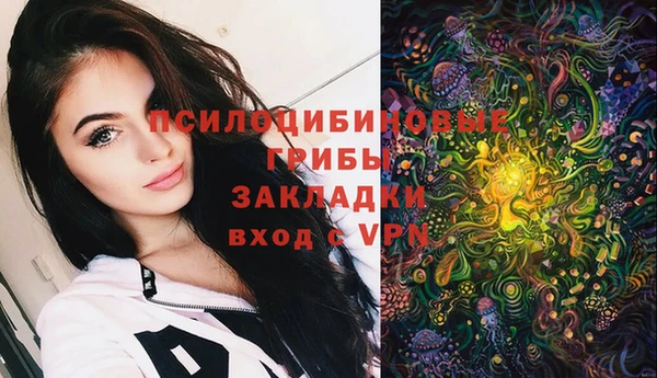 наркотики Болотное