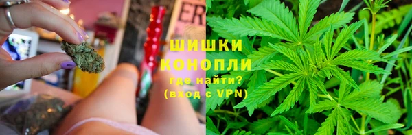 прущие крисы Верея